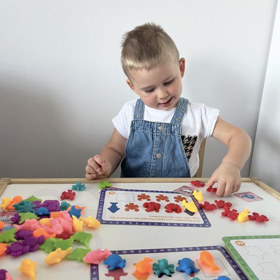 WOOPIE Montessori edukacinis rinkinys skaičiuoti mokymosi spalvų rūšiavimo jūroje ir žemėje 111 vnt.