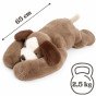 WOOPIE Jutiklinis šuo su svorio užtikrintu žaislu 2,5 kg