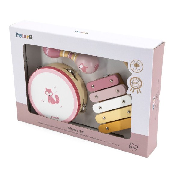 VIGA PolarB Muzikos Instrumentų Rinkinys Rožinis