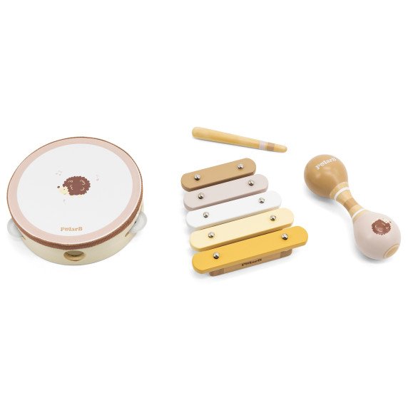 VIGA PolarB muzikos instrumentų rinkinys su erinija