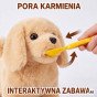 WOOPIE interaktyvus rudasis šuo pavadžiu su priedais