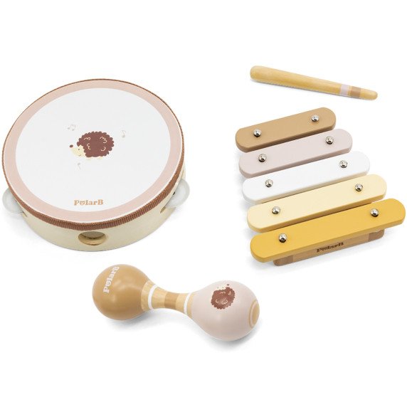 VIGA PolarB muzikos instrumentų rinkinys su erinija
