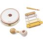 VIGA PolarB muzikos instrumentų rinkinys su erinija