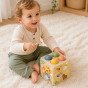 Medinis atsilenkiantis išsilavinimo kubas 5-iu-1 Tooky Toy