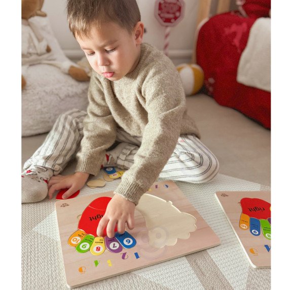 TOOKY TOY Edukacinė medinė kojų galvosilaužo mokymasis skaičiuojant ir spalvomis