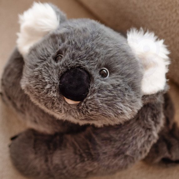 WOOPIE Koala anti-streso jutiklinis svorinis žaislas 65 cm 1500 g