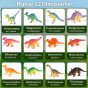 WOOPIE Dinozaurų Kiaušinių Iškasimo Archeologo Rinkinys, skirtas iškasti 12 dinozaurų