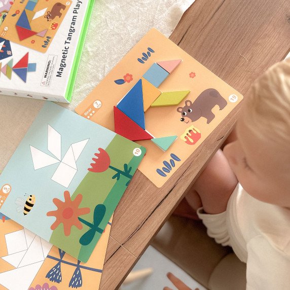 TOOKY TOY Tangram galvosūkis vaikams, mokantis figūrų formų formų 18 vnt.