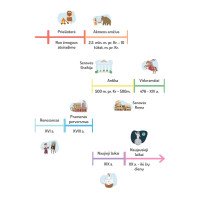 ISTORIJOS LAIKO JUOSTA Edukaciniai sienų lipdukai