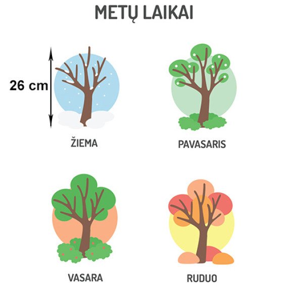 METŲ LAIKAI Edukaciniai sienų lipdukai