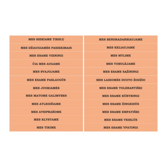 MOTYVACINIAI LAIPTAI Motyvuojantys laiptų lipdukai