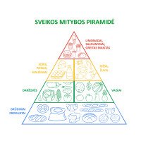 SVEIKOS MITYBOS PIRAMIDĖ Edukacinis sienų lipdukas