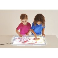 A2 LED šviesos panelė su skaidriu tyrinėjimo padėklu A2 LED šviesos panelė su skaidriu tyrinėjimo padėklu