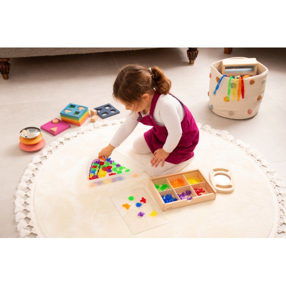 Spalvotų vabzdžių rinkinys skaičiavimui (96 vnt.)