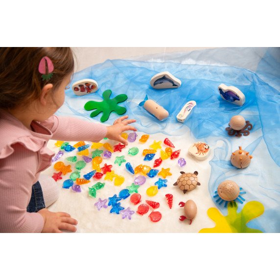 Permatomų kriauklių rinkinys šviesos stalui (72 vnt.)