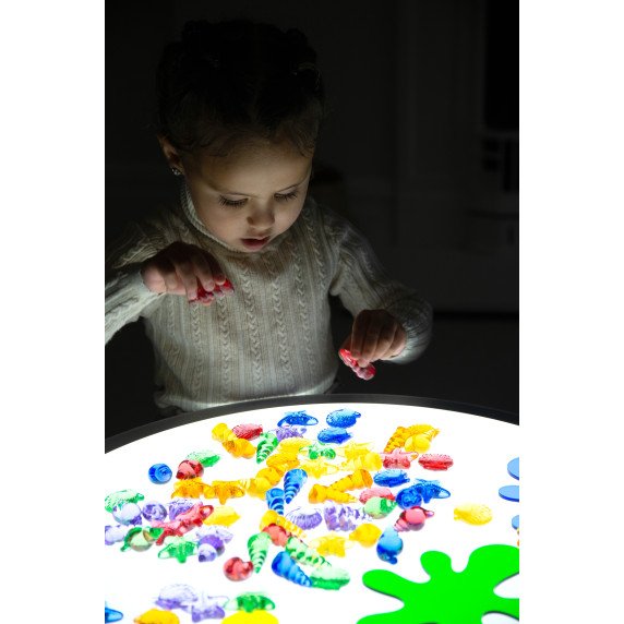 Permatomų kriauklių rinkinys šviesos stalui (72 vnt.)