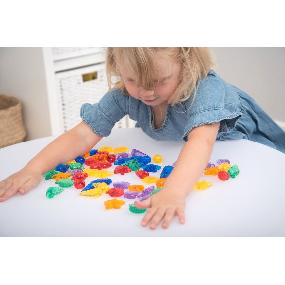 Permatomų kriauklių rinkinys šviesos stalui (72 vnt.)