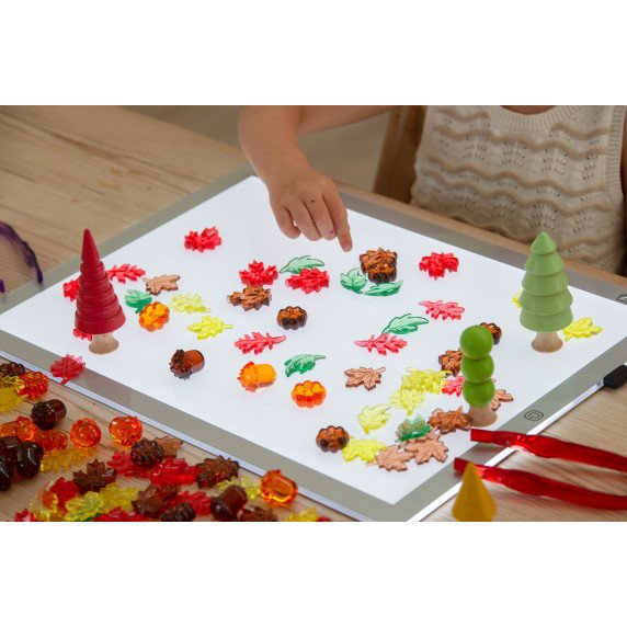 Skaidrios lapų ir sėklų figūrėlės (120 vnt.)