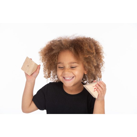 Medinės garsų prizmės (12 vnt.)