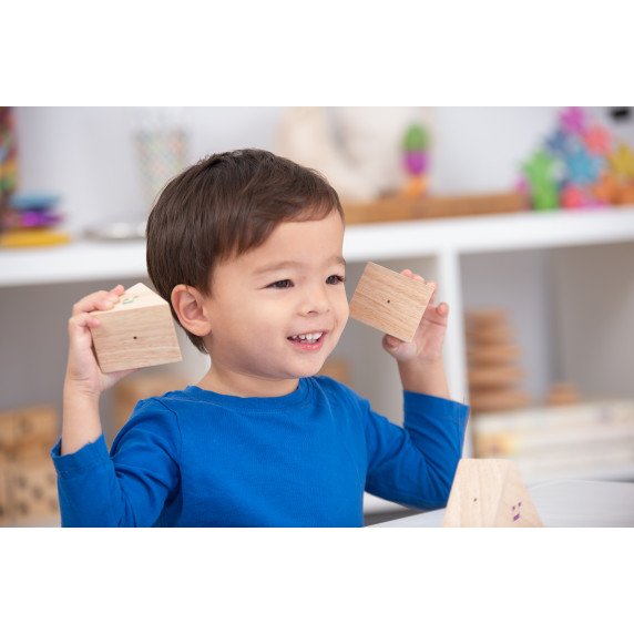 Medinės garsų prizmės (12 vnt.)