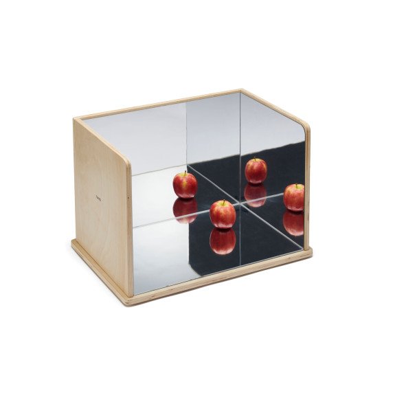 Medinis tyrinėjimo veidrodis – atspindžių ir vaizduotės žaidimams