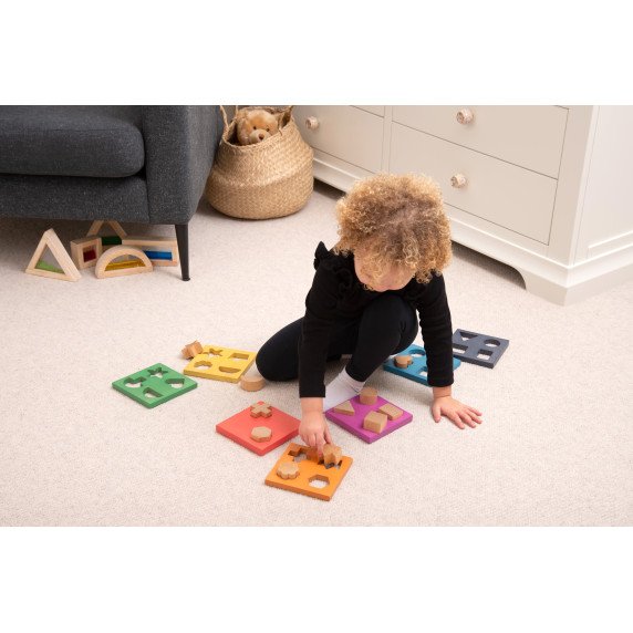 Spalvota medinų formų dėlionė