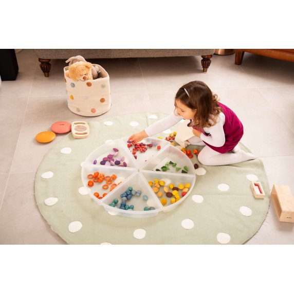 Tyrinėjimo padėklai (6 vnt.)