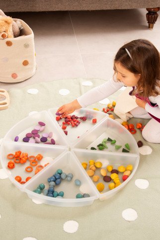 Tyrinėjimo padėklai (6 vnt.)